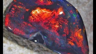 Black Opal Glowing Embers cut from rough to a polished stone [upl. by Johannah]