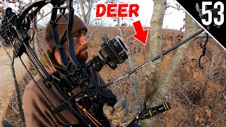 Bow Hunting Right Off the ROAD Arkansas Whitetail Hunt [upl. by Ragg492]