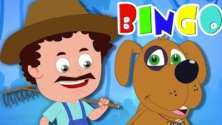 bingo la chanson chien comptines chansons préscolaires Poems For Babies Kids Rhymes Bingo The Dog [upl. by Ssitnerp838]