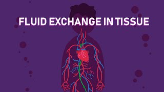 How The Exchange of Body Fluids in Tissues Happens  Biology [upl. by Alvera]