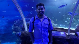 National Sea life Birmingham  Best tourist places to visit in Birmingham UK🇬🇧 [upl. by Akinat]