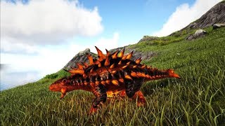 How to Fast Ankylosaurus Taming Ark Survival Evolved Tips and Tricks viral [upl. by Holzman]