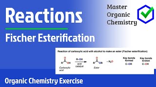 Fischer Esterification [upl. by Nodnarbal]