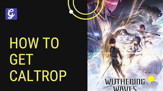 How to Get Caltrop  Wuthering Waves [upl. by Bianca]