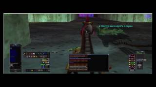 P99 Ranger  Shaman level 40 Kunark hunting [upl. by Diarmuid]