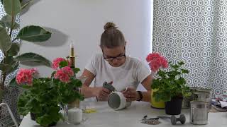 Pelargonien im hängendem und stehendem DIY DosenTopf [upl. by Winnie]