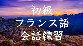 初級フランス語会話トレーニング230  基本フレーズ聞き流し [upl. by Nivart845]