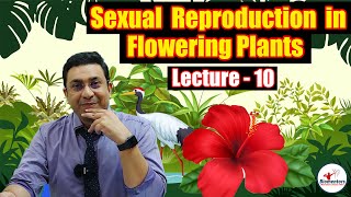 Sexual Reproduction in Flowering Plants l Lecture 10 l Biology l NEET [upl. by Ariew]