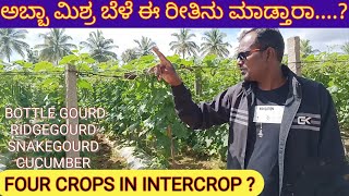 ಇವರು ಕೃಷಿ ಮಾಡುವ ಯೋಜನೆಯೇ ಅದ್ಬುತ ಅಲ್ಲವೇ EXCELLENT INTERCROP DETAILS [upl. by Ahsyas]