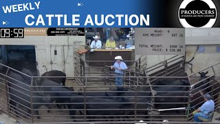 6132024  Producers Livestock Auction Company  Cattle Auction [upl. by Cristine]