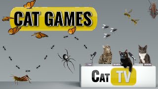 Cat Games  Ultimate Cat TV Bugs and Butterflies Compilation Vol 2  Videos for Cats to Watch🐱 [upl. by Mellitz]