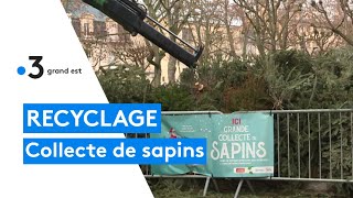 Des points de collecte pour le recyclage des sapins [upl. by Atiuqcaj32]