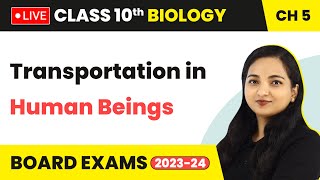 Transportation in Human Beings  Life Processes  Class 10 Biology Chapter 5 LIVE 202324 [upl. by Eckart]