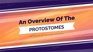 An Overview Of The Protostomes [upl. by Syhr43]