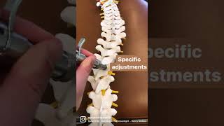 The Integrator Chiropractic Adjusting Tool🦴 [upl. by Aronel]