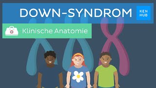 DownSyndrom Ursachen Diagnose Merkmale Prognose  Kenhub [upl. by Blockus]