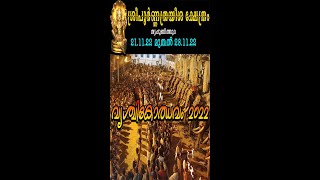 വൃശ്ചികോത്സവം 2022  Sree Poornathrayeesa Temple Vrischikolsavam  shorts ytshorts vishnu status [upl. by Nela199]