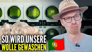 Von Deutschland nach Portugal  So wird unsere Wolle SAUBER [upl. by Galina]