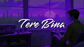 New Hindi Song lofi SlowedReverb Tere bina Lofi Song [upl. by Lucy]