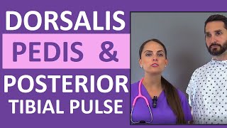 Dorsalis Pedis and Posterior Tibial Pulse Point Nursing Assessment [upl. by Daisi832]