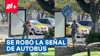 Captan a hombre robándose la señal de autobús en Guadalajara  N [upl. by Inaflahk]