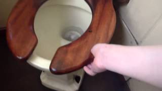 Another Rare High Level Armitage Shanks Steam Train Toilet [upl. by Attoynek]