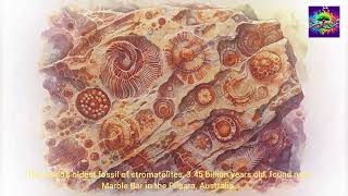 Origin of single cell organisms on Earth Billions of years ago Part 3 [upl. by Rufus]