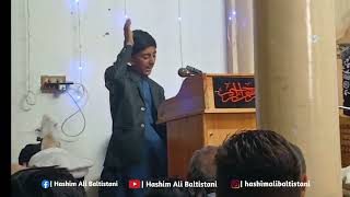 Ghadeer E Khum Sajaya Jaraha Hai  Manqabat Bamunasibat Ghadeer Reciter Hashim Ali Baltistani [upl. by Nnaeed713]