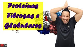 Proteínas Fibrosas e Globulares  Classificação das Proteínas  Bioquímica [upl. by Wehttan834]