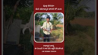 Electrical wireless rechargeable grass cutter Raja Reddy Bommakka [upl. by Lledor]