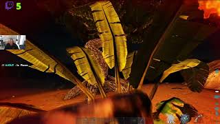 Toute les ressources sur Island Ark  Et méthodes de farm optimiser  Ark Ascended 1 [upl. by Pimbley]