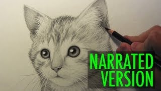 How to Draw a Kitten Narrated Step by Step [upl. by Sergo]