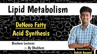 De Novo Synthesis Of Fatty Acids  Lipid Metabolism  Biochemistry Lectures [upl. by Allerie]