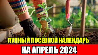 Лунный Посевной Календарь на АПРЕЛЬ 2024  Сажаем только в БЛАГОПРИЯТНЫЕ ДНИ [upl. by Idalla]