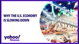 US economy is slowing down Economist [upl. by Edwyna]