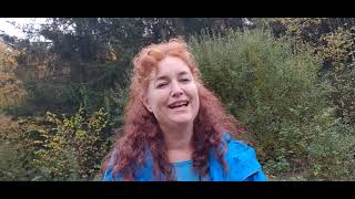 Healing Song  Phyllida Anam AïreCover HealingSong der Woche 171023102022 [upl. by Jameson970]