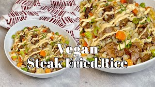 Vegan Steak Fried Rice Beyond Steak  Pretty Brown Vegan [upl. by Goeger]