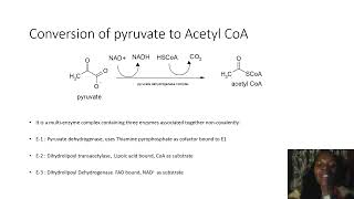 Biochemistry SimplifiedKrebsCycle [upl. by Gisele367]