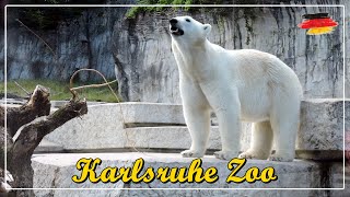 ZOO KARLSRUHE  Zoologischer Stadtgarten Karlsruhe [upl. by Jabe450]