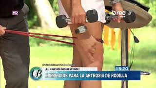 ¿Qué ejercicios hacer para la artrosis de rodilla [upl. by Tiersten]