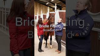 How to check a browband fits  Bridle Fitting BridleFitting Bridle [upl. by Netsriik]