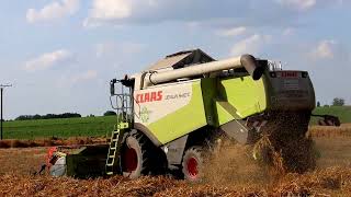 Claas Lexion 540 C beim Hafer dreschen [upl. by Anneliese]