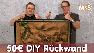 50€ Terrarium Rückwand bauen  DIY Anleitung  Reptil TV [upl. by Inatsed]