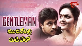 Gentleman Movie Songs  Mudinepalli Madi Chelo Song  Arjun  Madhubala [upl. by Lepper]