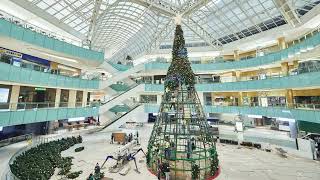 Galleria Dallas Christmas Tree Timelapse 2024 [upl. by Ninnahc568]