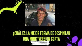 ¿Cuál es la mejor opción para despintar una mini Versión corta [upl. by Einaled]