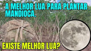 QUAL A MELHOR LUA PARA PLANTAR MANDIOCAMACAXEIRA [upl. by Fechter]