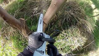 Stihl MSA 160 T review [upl. by Domonic]