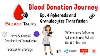 Ep4 Apheresis and Granulocytes Transfusion Blood Donation Journey [upl. by Lleksah47]