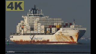 SAFMARINE BENGUELA  Shipspotting Germany 🇩🇪 IMO 9355367  River Elbe near Otterndorf  4K VIDEO [upl. by Nalyr]